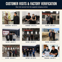 Wok à induction commercial à économie d'énergie, double brûleur, haute puissance, wok électrique industriel pour les services de restauration et de traiteur