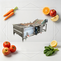 Automatische multifunctionele Jinglong luchtbel fruit- en groentewasmachine
