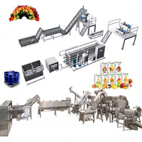 Fabrikant Leverancier Industriële Volledig Automatische Complete Fruit Sap Verwerkings- en Afvullijn 1000 per dag