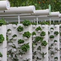 Explosion de serres hydroponiques certifiées ISO en Chine, serres à tomates, serres hydroponiques personnalisées