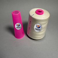 Pabrik Produsen Menyediakan Benang Jahit Polyester Spun 100% Tenasitas Tinggi Reflektif Tak Terlihat Berwarna 40s/2 Tex27