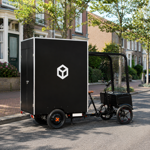 Tricycle électrique à 3 roues robuste avec caisse de livraison fermée pour la logistique du dernier kilomètre, la livraison par coursier et l'utilisation urbaine - Product Image 3