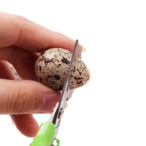 Ciseaux à Oeufs de Caille de Pigeon Coupe-Oiseaux Ouvre-Oeufs Coupe-Oeufs Cuisine Ménagère Outil Accessoires Gadgets Commodité 1 Pièce - Product Image 4