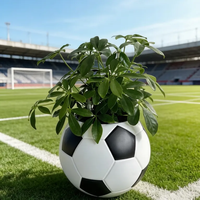 Pot de fleurs intelligent créatif en forme de ballon de football, auto-arrosant, pour bureau, maison, décoration intérieure, pot de fleurs paresseux