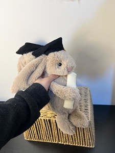 Peluche Coniglio Jelly Cats Classe 2026 per il Raggiungimento della Piazzata di Laurea con Sacchetto Antipolvere Gratuito, Regalo Commemorativo per Studenti - Boutique - Product Image 2