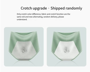 <span class=keywords><strong>Culotte</strong></span> <span class=keywords><strong>menstruelle</strong></span> sans couture 3 couches absorbantes à débit élevé pour femmes, anti-fuite <span class=keywords><strong>invisible</strong></span>, coupe française, sous-vêtements menstruels sans couture - Product Image 5