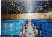 2019 Oberirdischer FRP Fiberglas Kinder-Spa-Pool Aquarium Fischbecken für Erwachsene Neugeborene UV-Beständig Ungiftig