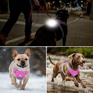 Kunden spezifisches leichtes leichtes Hunde geschirr Wiederauf lad bares No-Pull-LED-Hunde geschirr mit abnehmbarer Licht box, Airtag-Halter - Product Image 4