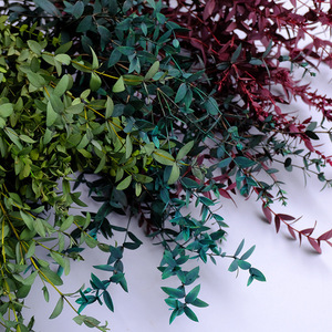 Branches d'<span class=keywords><strong>eucalyptus</strong></span> séchées naturelles et préservées, de couleurs mélangées, à feuilles fines, type Gunni, pour la décoration de la maison, des vases, des tables et des murs - Product Image 1