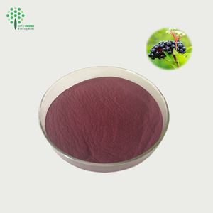 Водорастворимый порошок бузины экстракт фруктов бузины - Product Image 1