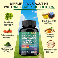 Capsules de Mousse de Mer en Gros, Supplément Shilajit et Crinière de Lion, Marque Privée pour la Santé Intestinale et Immunitaire