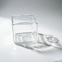 Kit de fabrication de cubes de glace souples TPR vides et remplissables, transparents, carrés, avec bouchons, pour la création artisanale de produits à presser (type fromage)