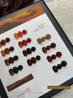 JIANSEGEL12 Ensemble compact ambre brun pour l'automne et l'hiver – Huile à ongles couleur unie polyvalente et populaire pour salon de manucure