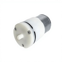 Diffuseur d'arômes électrique 310, appareil de beauté, massage aux huiles essentielles, faible bruit, mini pompe à air silencieuse, plastiques techniques