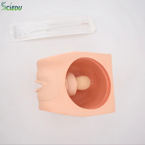 Modelo avanzado de Anatomía Humana anticonceptiva femenina, simulación de habilidades maternas, entrenamiento de ciencia médica, modelo de anticoncepción femenina - Product Image 1