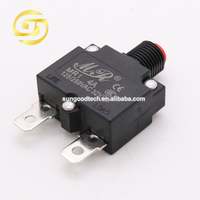 Commutateur de surcharge de courant Protecteur de broyeur de véhicule électrique ST-1 MR1 WP-01 2A 4A 6A 8A 10A 15A 20A 30A Protecteur de disjoncteur