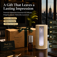 Diffuseur d'huiles essentielles sans eau personnalisé, rechargeable, éclairage LED, faible bruit, diffuseur d'arômes professionnel pour voiture et bureau