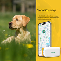 Collier GPS intelligent 4G pour animaux de compagnie, localisation électronique en temps réel mondiale anti-perte pour chiots et chatons