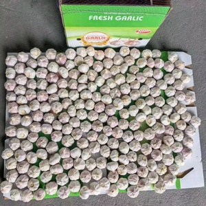 Ajo recién cosechado de <span class=keywords><strong>China</strong></span>, alimento saludable y ecológico, precio al por mayor, ajo fresco al por mayor de <span class=keywords><strong>China</strong></span>, Aglio - Product Image 5