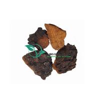 Extrait de Reishi/lingzhi/extrait de ganoderma lucidum Polysaccharide