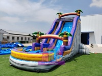 Toboggan aquatique gonflable en forme de palmier tropical avec deux pistes et piscine à jets pour les fêtes d'été