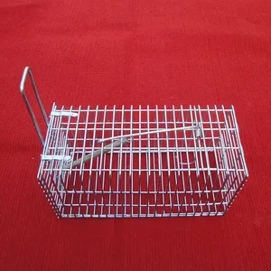 Grote Gif-Gratis Plastic Muizen Kooi Humane Mechanische Muis Controle Knaagdieren Rat Trap Mouse Trap Cage Voor Huis En magazijn