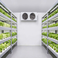 Chambre froide économique et écologique pour la culture de champignons avec moteur et pompe pour système hydroponique