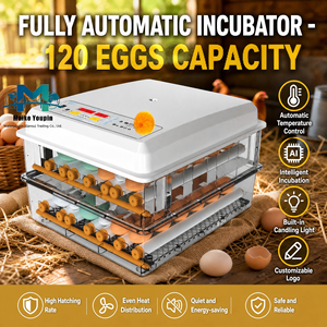 Incubateur automatique intelligent pour volailles <span class=keywords><strong>de</strong></span> 120 œufs, double alimentation, circulation d'air à 360°, contrôle numérique, lumière intégrée, plastique ABS, OEM - Product Image 2