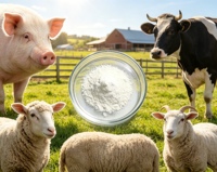 Poudre de lactosérum de qualité alimentaire Lanchen, additif d'acides aminés pour veaux et agneaux, favorise une croissance saine