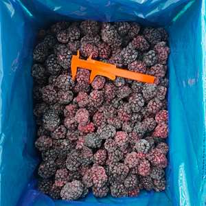 แบล็กเบอร์รี่แช่แข็ง100% บรรจุภัณฑ์จำนวนมากผลไม้แช่แข็ง - Product Image 3