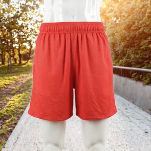 OEM Custom Wholesale Sporty Woven Solid Hot Elastic Waist Breathable Quick Dry Polyester/Nylon <b>Mesh</b> <b>Shorts</b> for <b>Men</b> - Product Image 2