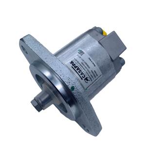 Conjunto de bomba hidráulica Casappa D51894300 250 bar de 1 etapa para montacargas diésel Doosan D110S D130S - Product Image 5