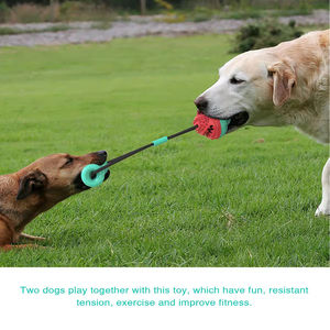 Jouets à mâ<span class=keywords><strong>cher</strong></span> personnalisés <span class=keywords><strong>pour</strong></span> chiens en gros, jouets interactifs couineurs <span class=keywords><strong>pas</strong></span> chers <span class=keywords><strong>pour</strong></span> chiens, jouets interactifs de puzzle <span class=keywords><strong>pour</strong></span> animaux de compagnie, cordes à mâ<span class=keywords><strong>cher</strong></span> <span class=keywords><strong>pour</strong></span> chiens - Product Image 6