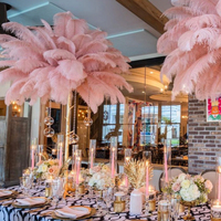 Nouvelles Idées de Produits 2025 – Boa en Plumes d'Autruche 100% Naturelles, Franges Artisanales, Meilleures Ventes pour Décoration de Mariage et Fournitures