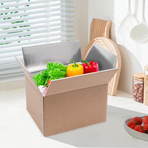 8 #250*200*180mm kotak pengiriman terisolasi termal kemasan Sushi beku terisolasi Foil pengiriman makanan dengan laminasi Matt - Product Image 2