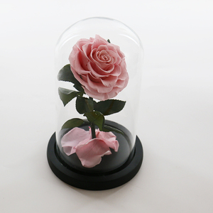 Vente en gros préservé galaxie Rose en dôme de verre pour toujours éternel Roses Fleur pour <span class=keywords><strong>St</strong></span> <span class=keywords><strong>Valentin</strong></span> Cadeaux préservé Rose dôme en verre - Product Image 5