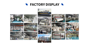 Dtf Chuyển Sheets A3 A4 A3 + Pet Sheets Trực Tiếp Để Phim In Ấn Trên Máy Tính Để Bàn Dtf Máy In L1800 13*19 Inch Dtf Phim - Product Image 6