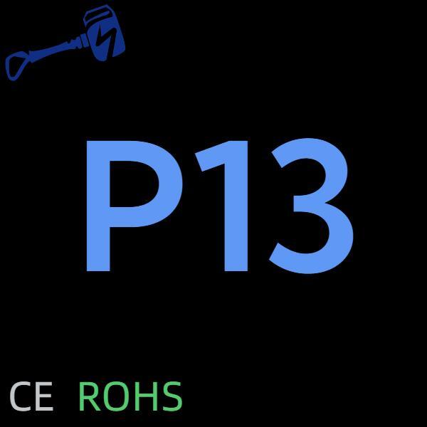 P13