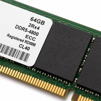 HMCG94MEBRA121N RDIMM 	 RAM Server 64GB 1x4 4800Mbps SDP CS DDR5