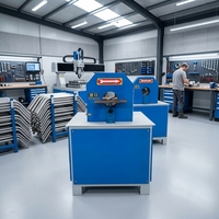 Machine de polissage industrielle pour métaux, haute efficacité, professionnelle, pour le tréfilage, le finissage à la brosse, le finition satinée et le polissage de tuyaux courbés