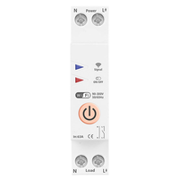 TUYA Smart Life 1P Energy Meter Smart Switch 110v 220v 63A Pemantau KWh Pemutus Sirkuit Timer Relay MCB Mini Fasa Tunggal