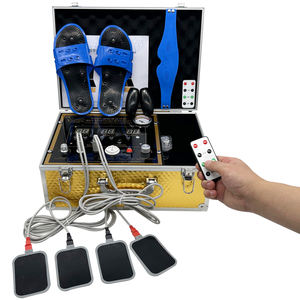 2024 थोक मूल्य मालिश उपकरण चीनी मेरिडियन मालिश मशीन डोड बायोइलेक्ट्रिक ऊर्जा पल्स उत्तेजक उपचार - Product Image 4