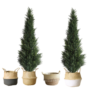 Cây Bách Nhân Tạo Cao Cây Bách Gỗ Hoàng Dương Cỏ Nhân Tạo Cây Bách - Product Image 3