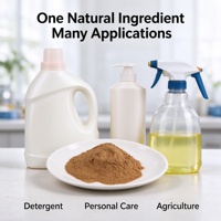 Poudre de saponine de thé 60 %, extrait de Camellia Oleifera, tensioactif naturel pour détergent et soins, saponine de thé en vrac 1 kg