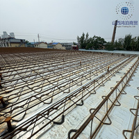 Panneaux de plancher en treillis galvanisé en acier durable pour la construction, conçus pour les projets scolaires et hospitaliers