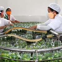 Ligne de produits de cornichons en conserve concombre cornichons concombre faisant l'équipement de la machine ligne de production de coupe de lavage de légumes marinés