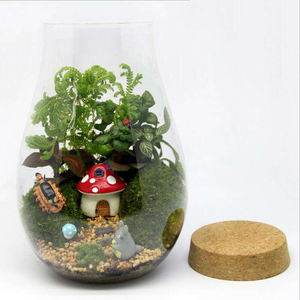 <span class=keywords><strong>Terrario</strong></span> <span class=keywords><strong>in</strong></span> <span class=keywords><strong>Vetro</strong></span> Borosilicato Soffiato a Bocca all'Ingrosso di Fabbrica 20cm*14cm 10cm*12cm - Product Image 4