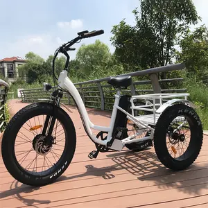 Bicicleta elétrica de carga para adultos, pneu gordo, triciclo elétrico de 3 rodas, roda gorda de 20 polegadas, 48V, 500W, 750W, bicicleta elétrica Etrike, 3 rodas