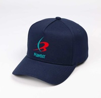 Casquette de baseball réglable en polyester de haute qualité, personnalisable avec broderie, casquette de baseball à 5 panneaux