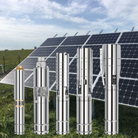 Pompe de Puits Profond HOP Hybride AC/DC, Pompe à Eau Solaire Submersible pour Forage